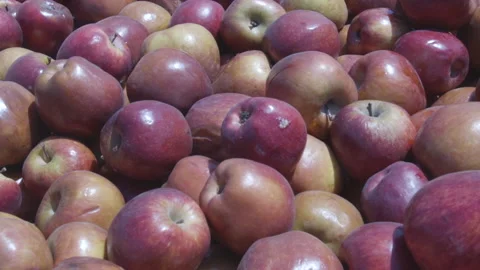 Close up on apples in different conditions Video stock 138126534