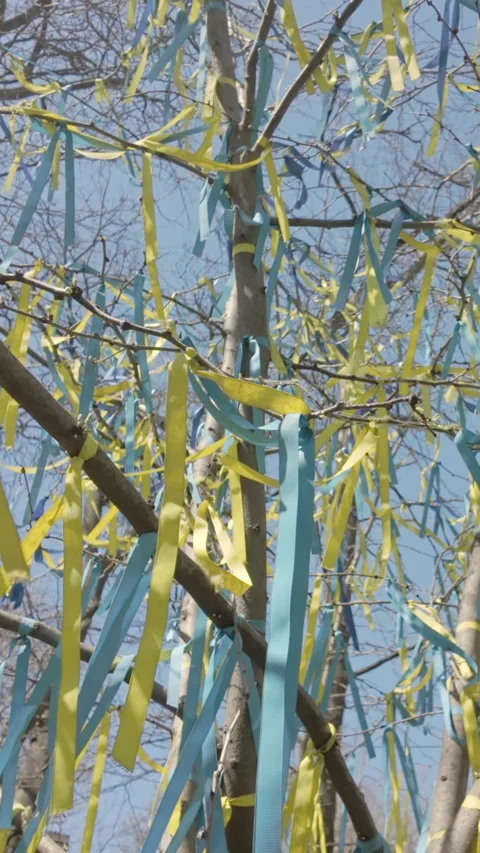 Close-up, approaching to set of yellow and blue ribbons, symbolising flag of Stock Footage 312254948