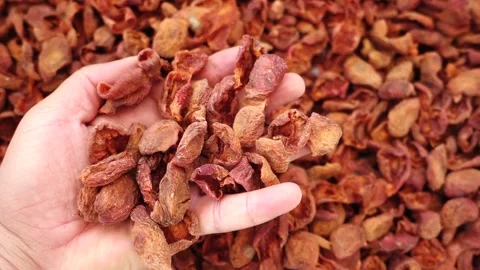 Close-up apricot drying process, fruit drying process in summer, drying fruit Stock Footage 205028560
