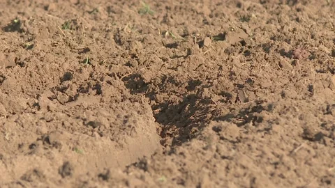 Close up of arable land soil recently ploughed for new season Stock-Footage 119924274