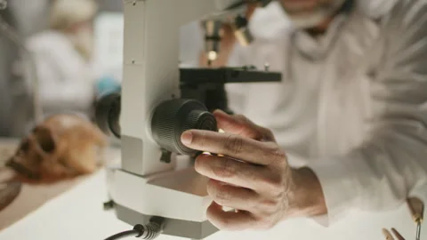 Close-Up of Archaeologist Adjusting Microscope Focus in Research Laboratory Stock Footage 301599718