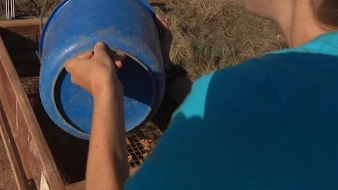 Close-up of an archaeologist dumping a bucket of dirt into a sifter and Stock Footage 100633287