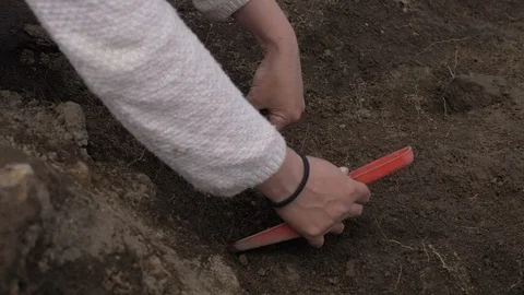  close up on archaeologist, excavations,archaeological dig Vidéo 115544381
