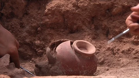 Close-up of archaeologists using tools and a brush to delicately unearth Video stock 100633283