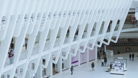 Close Architectural Details of Oculus White Ribbed Structure Stock Footage 335387611
