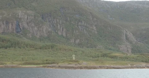 Close Up of the Arctic Circle Monument and Statue As We Pass By on a Ferry 库存影片 252903048