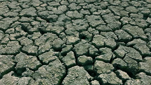 Close-up of arid, cracking earth is parched from lack of moisture. Video stock 321422524