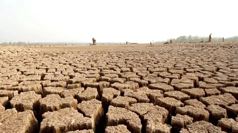 Close-up of arid, cracking earth is parched from lack of moisture 库存影片 340967780