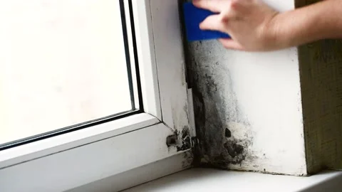 Close-up arm removing mold with sponge from the corner of the metal-plastic Stock Footage 169957999