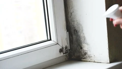 Close-up arm spray mold remover into mold in the corner of the metal-plastic Stock Footage 169957890
