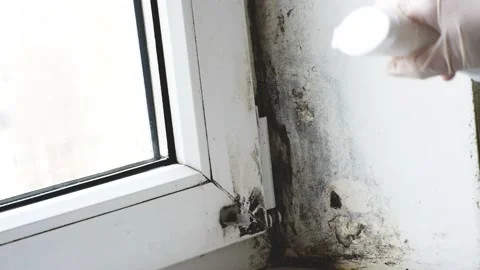 Close-up arm spray mold remover into mold in the corner of the metal-plastic Stock Footage 169957946