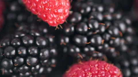 Close-up arrangement mixed, berries including blackberries and raspberries Stock Footage 284084320