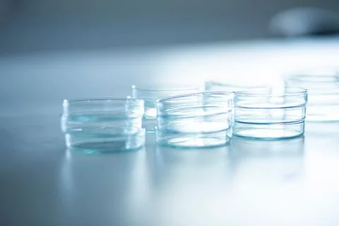 Close up of an array of clear glass petri plates in a laboratory 写真素材