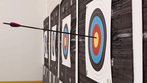 Close Up Of Arrow Hitting Target, Bull's-Eye, 3/4 Angle, Handheld, Archery 02 Stock Footage 233291552