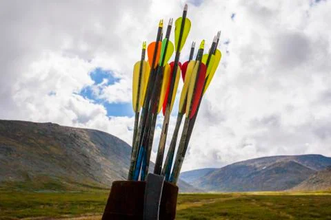 Close up of arrows in quiver Fotos Stock