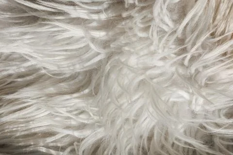 Close up artificial fluffy white-grey fabric fur, wool shaggy carpet with lon Stock Photos