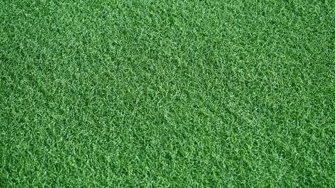 A close up of artificial grass. Stock Photos