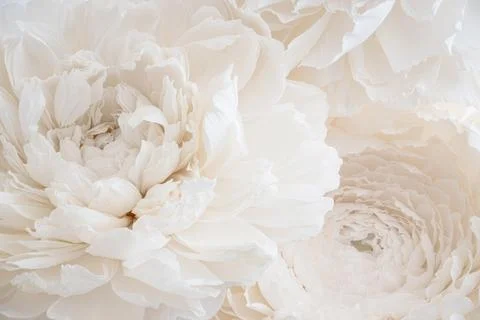 Close up of artificial peonies. Light copy space background. Stock Photos