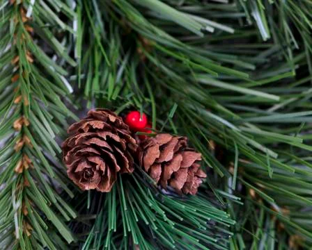 Close up of artificial pine cones and red berries surrounded evergreen branch Stock Photos