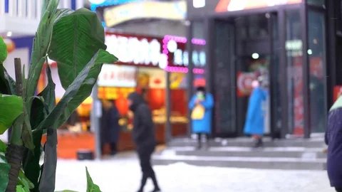Close up of artificial plants as people walking by in background.China, Shenyang Vidéo 84701592