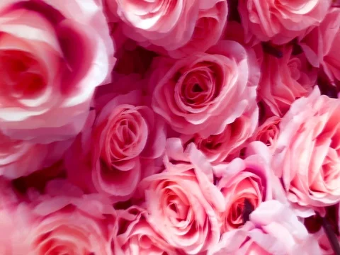Close up of artificial roses Видео 69865455