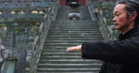 Close up: Asian master, demonstrates Tai chi martial arts in Wudang mountain Chi Stock Footage 201094144