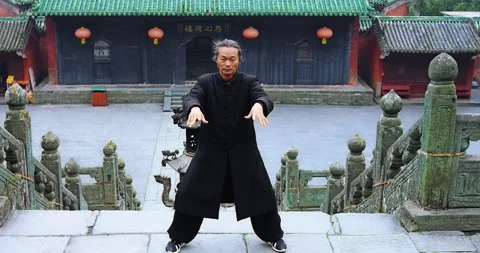 Close up: Asian master, demonstrates Tai chi martial arts in Wudang mountain Chi Stock Footage 201095105