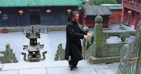 Close up: Asian master, demonstrates Tai chi martial arts in Wudang mountain Chi Stock Footage 201096528