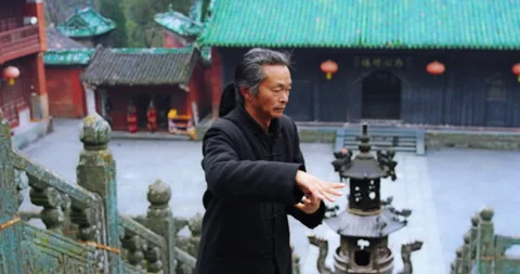 Close up: Asian master, demonstrates Tai chi martial arts in Wudang mountain Chi Stock Footage 201096541