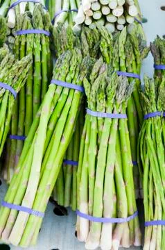Close-up of asparagus Stock Photos
