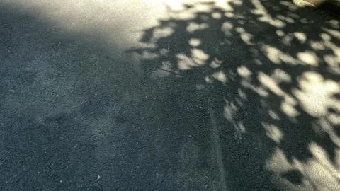 Close up of asphalt background with shadows Foto stock