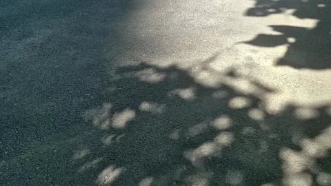 Close up of asphalt background with shadows Stock Photos