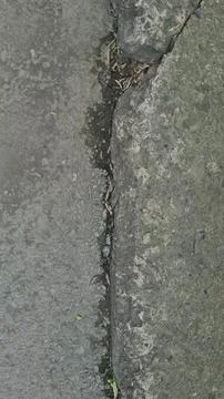 Close up of asphalt background with shadows 写真素材