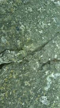 Close up of asphalt background with shadows Stock Photos