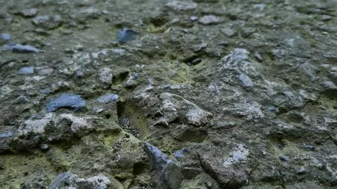 Close up of asphalt background with shadows Stock Photos