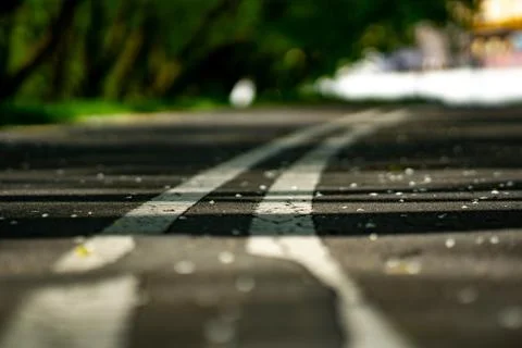 Close-Up of Asphalt Path with White Dividing Lines 写真素材