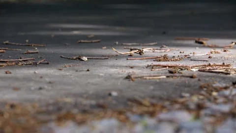 Close up of asphalt road with leaves Video stock 72860157