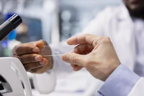 Close up of assay development specialist examining microscope glass slide Stock Photos