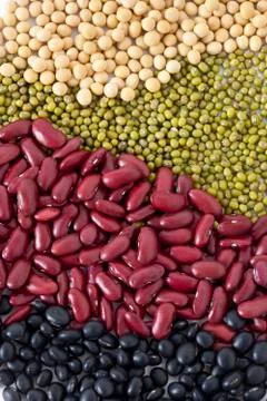 Close up of assorted beans Stock Photos