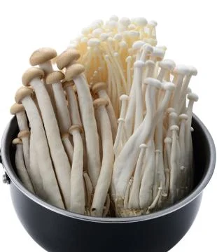 Close up of an Assorted of mushrooms on Pan Stock Photos