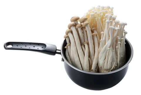 Close up of an Assorted of mushrooms on Pan Stock Photos