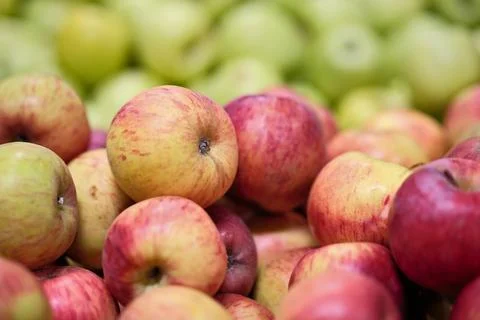 Close-Up of Assorted Ripe Apples Displayed on a Supermarket Shelf Background Stock Photos