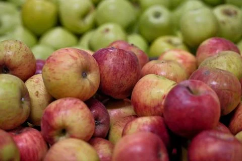 Close-Up of Assorted Ripe Apples Displayed on a Supermarket Shelf Background Stock Photos