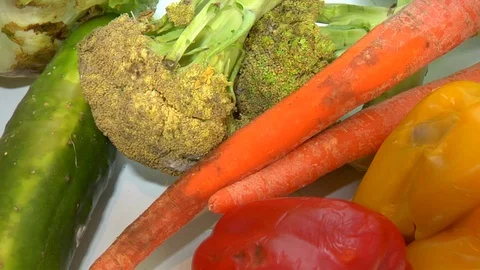 Close up of assorted rotting fruits and vegetables with mold and fungus Stock Footage 123732435