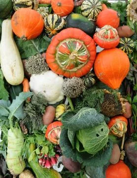 Close up of an assortment of different vegetable Stock Photos