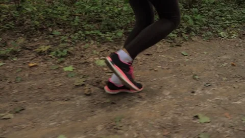 Close Up Of Athletic Female Legs Running At Forest Road Stock Footage 80221310