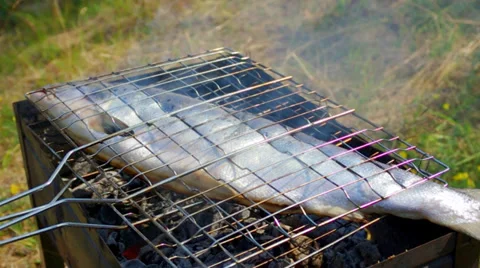 Close-up 	Atlantic salmon Stock Footage 32362355