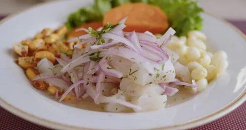Close-Up of Authentic Peruvian Ceviche – High-Definition Culinary Footage Stock Footage 291000199