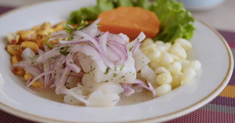 Close-Up of Authentic Peruvian Ceviche – High-Definition Culinary Footage Stock Footage 291000221