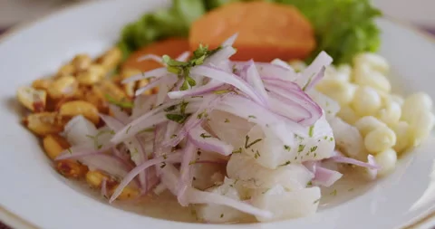 Close-Up of Authentic Peruvian Ceviche – High-Definition Culinary Footage Stock Footage 291000229